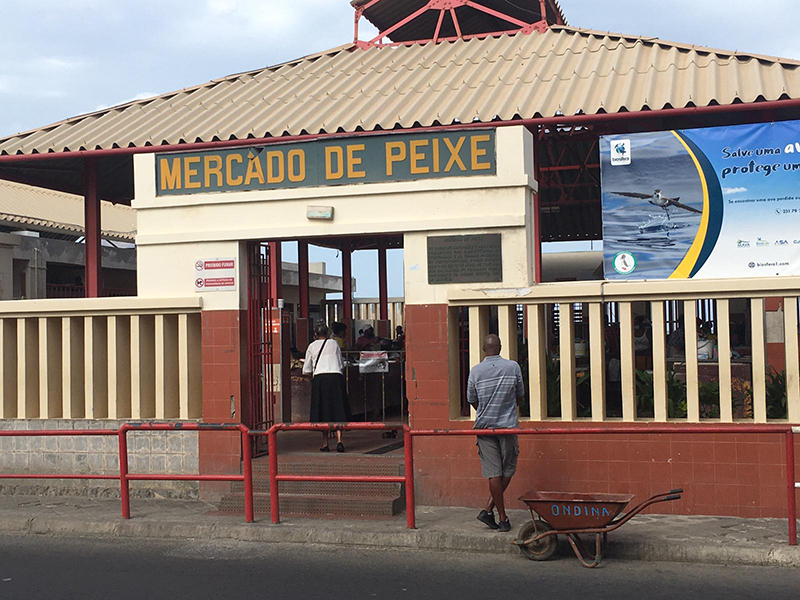 A building with Mercado De Peixe on the wall.