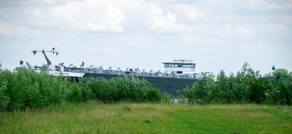 Grass and bushes in front. In the background, behind the bushes, a cargo ship in the channel.