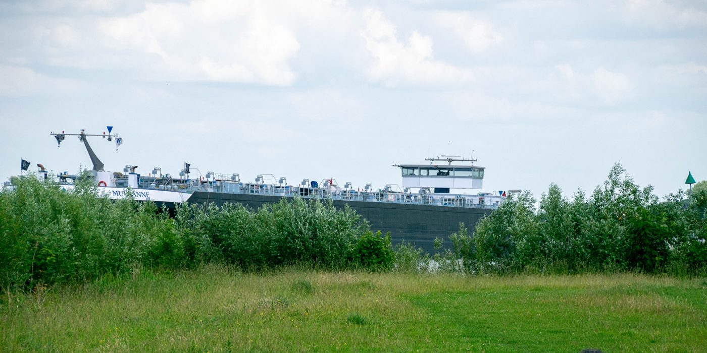 Grass and bushes in front. In the background, behind the bushes, a cargo ship in the channel.