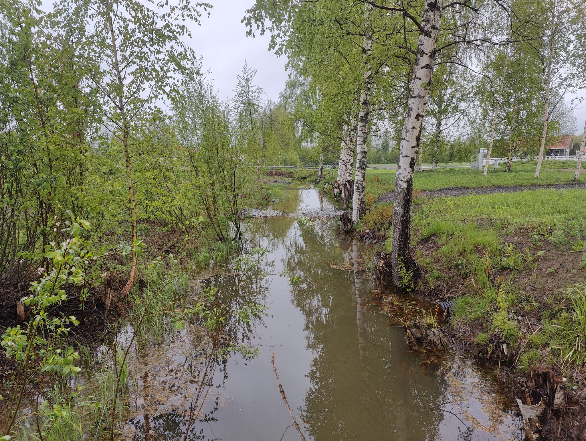 A ditch with water in it.